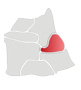 Dzielnica Centrum