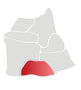 Dzielnica Wyścigi