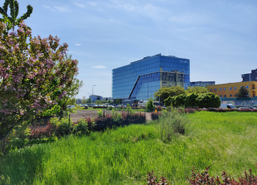 Tischnera Office construction just started