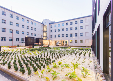 The new version of Wola's modernism