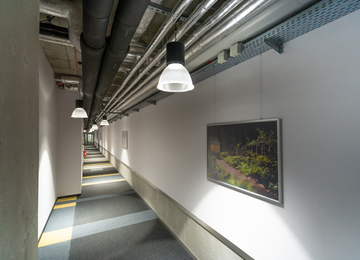 Zielony by Synergia – the first organic office building in Poland