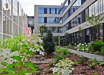 Multiroom in Zielony by Synergia